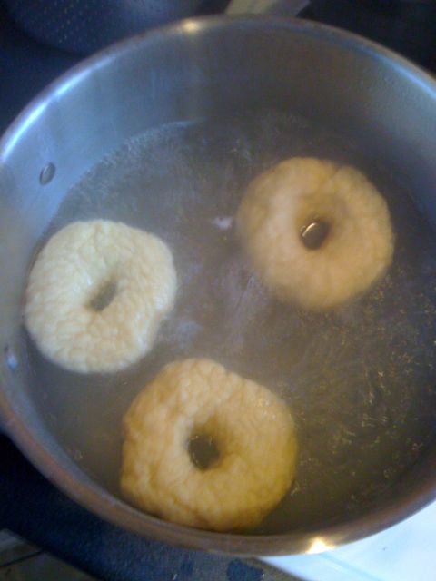 In the kitchen, no-one can hear them SCREAM